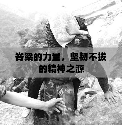 脊梁的力量，坚韧不拔的精神之源