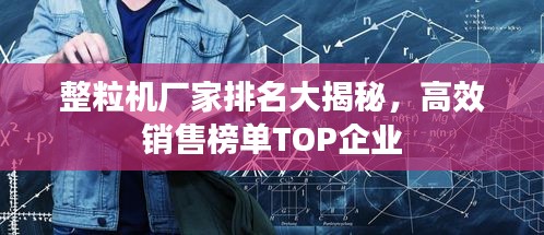 整粒机厂家排名大揭秘，高效销售榜单TOP企业