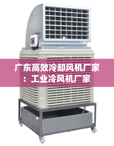 广东高效冷却风机厂家：工业冷风机厂家 