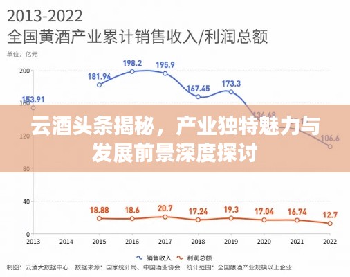 云酒头条揭秘，产业独特魅力与发展前景深度探讨