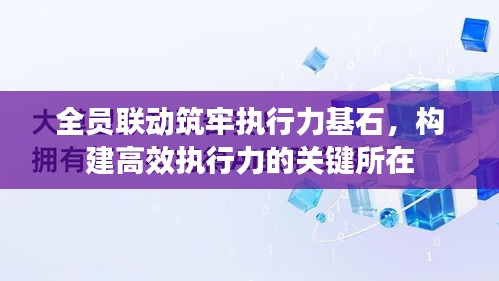 全员联动筑牢执行力基石，构建高效执行力的关键所在