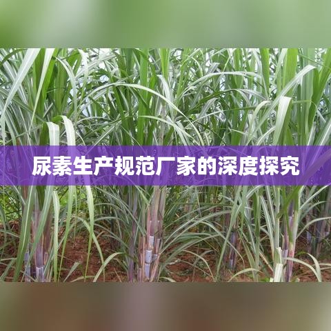 张牙舞爪 第3页