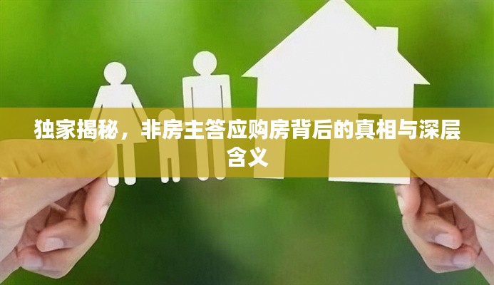 独家揭秘，非房主答应购房背后的真相与深层含义