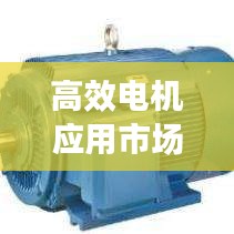高效电机应用市场：高效率电动机 