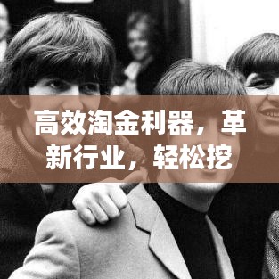 高效淘金利器，革新行业，轻松挖掘财富之源