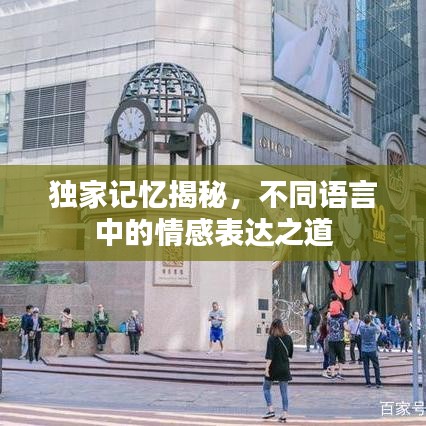 独家记忆揭秘，不同语言中的情感表达之道