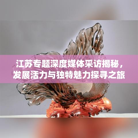 江苏专题深度媒体采访揭秘，发展活力与独特魅力探寻之旅