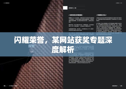 闪耀荣誉，某网站获奖专题深度解析