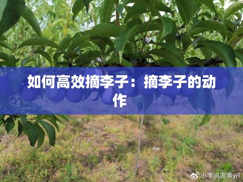 飞沙走石 第3页