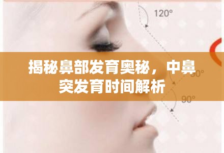 揭秘鼻部发育奥秘，中鼻突发育时间解析