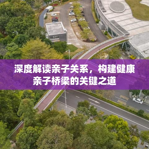 深度解读亲子关系，构建健康亲子桥梁的关键之道