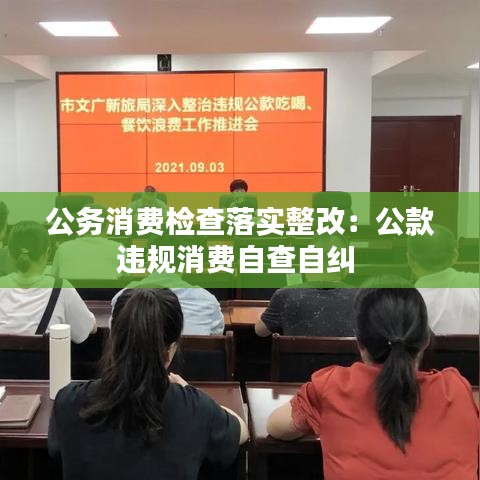 公务消费检查落实整改：公款违规消费自查自纠 