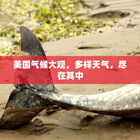 美国气候大观，多样天气，尽在其中