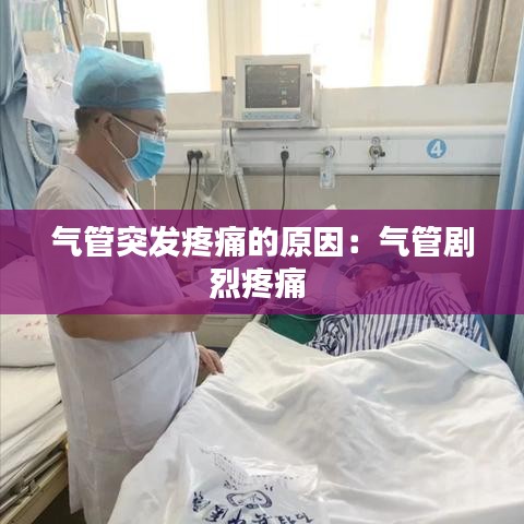 雅量高致 第2页