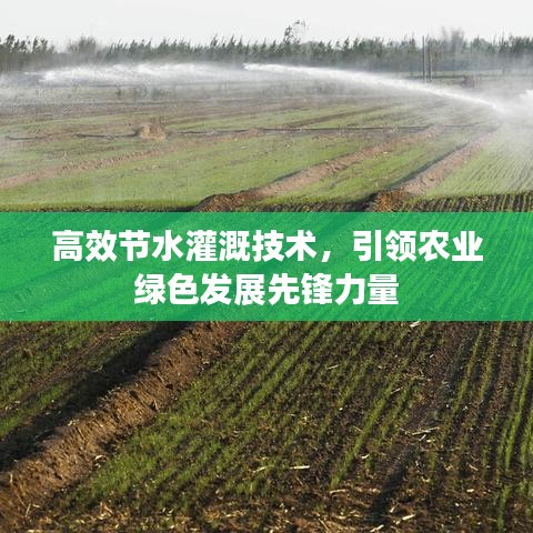 高效节水灌溉技术，引领农业绿色发展先锋力量