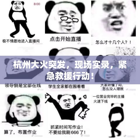 杭州大火突发，现场实录，紧急救援行动！