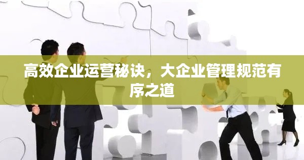 高效企业运营秘诀，大企业管理规范有序之道
