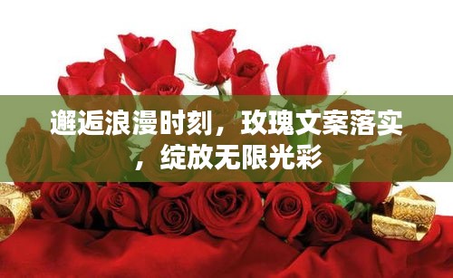 邂逅浪漫时刻，玫瑰文案落实，绽放无限光彩
