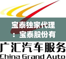 宝泰独家代理：宝泰股份有限公司 