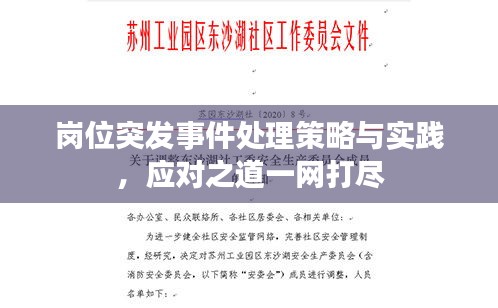 岗位突发事件处理策略与实践，应对之道一网打尽