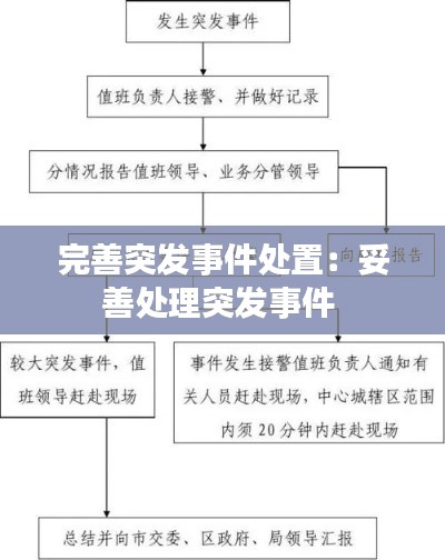 完善突发事件处置：妥善处理突发事件 