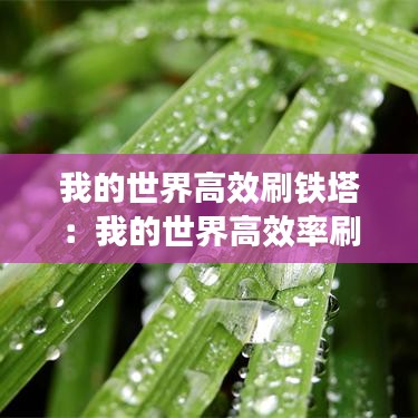 我的世界高效刷铁塔：我的世界高效率刷铁塔怎么做 