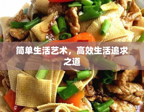 简单生活艺术，高效生活追求之道
