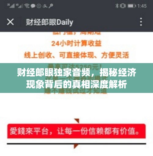 财经郎眼独家音频，揭秘经济现象背后的真相深度解析