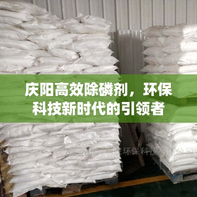 庆阳高效除磷剂，环保科技新时代的引领者