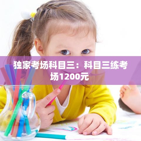 独家考场科目三：科目三练考场1200元 
