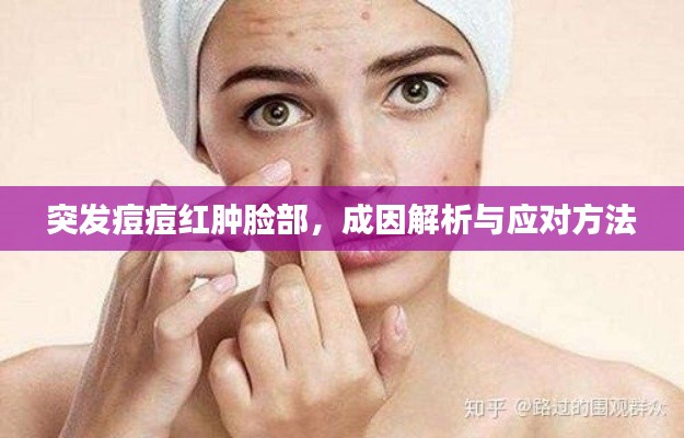 突发痘痘红肿脸部，成因解析与应对方法
