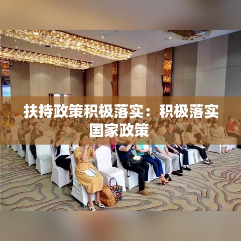 扶持政策积极落实：积极落实国家政策 