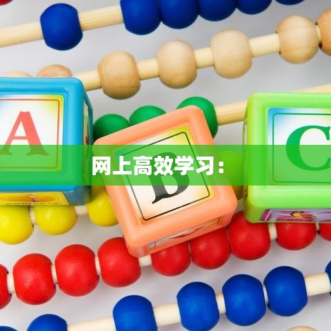 网上高效学习： 
