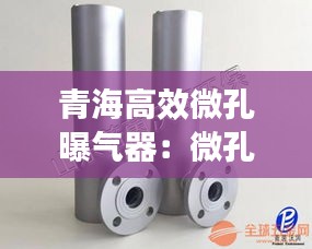 青海高效微孔曝气器：微孔曝气器工作原理 