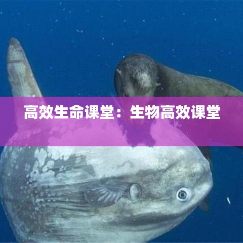高效生命课堂：生物高效课堂 