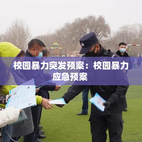 校园暴力突发预案：校园暴力应急预案 