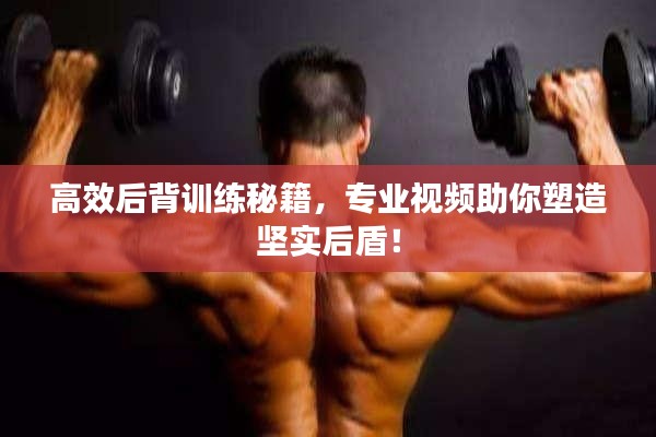 高效后背训练秘籍，专业视频助你塑造坚实后盾！