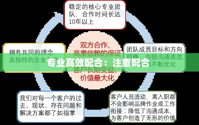 专业高效配合：注重配合 