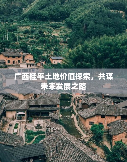 广西桂平土地价值探索，共谋未来发展之路