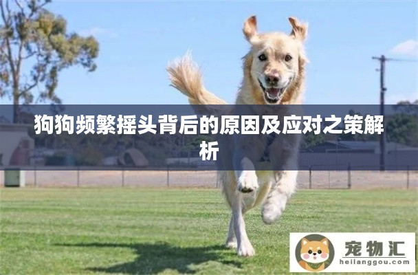 富贵逼人 第2页