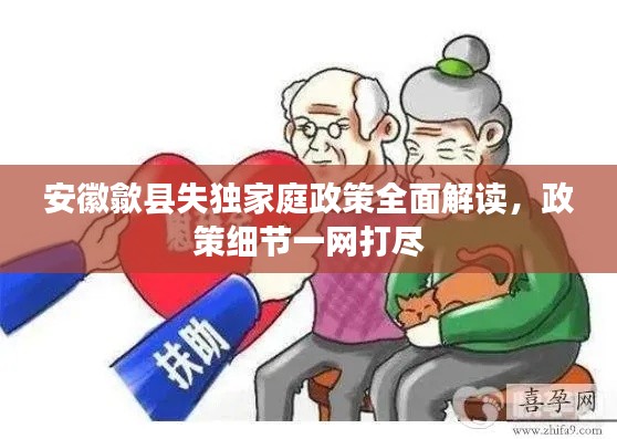 安徽歙县失独家庭政策全面解读，政策细节一网打尽