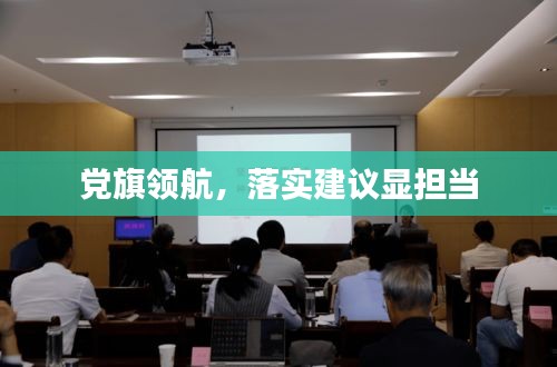 党旗领航，落实建议显担当