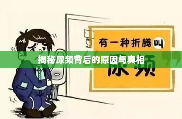 揭秘尿频背后的原因与真相