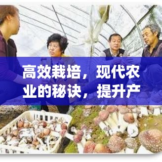 三人成虎 第3页