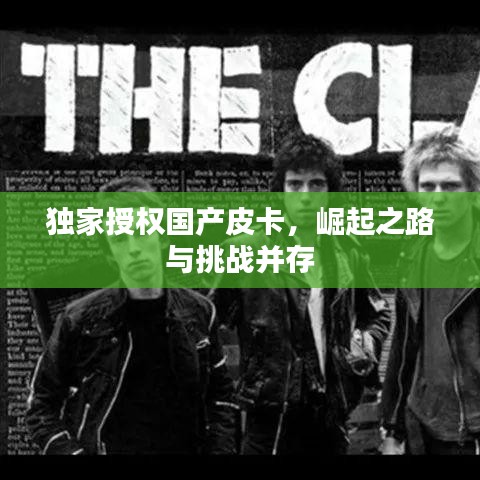 独家授权国产皮卡，崛起之路与挑战并存