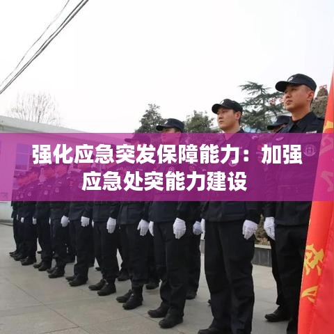 强化应急突发保障能力：加强应急处突能力建设 