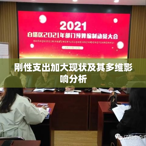 刚性支出加大现状及其多维影响分析