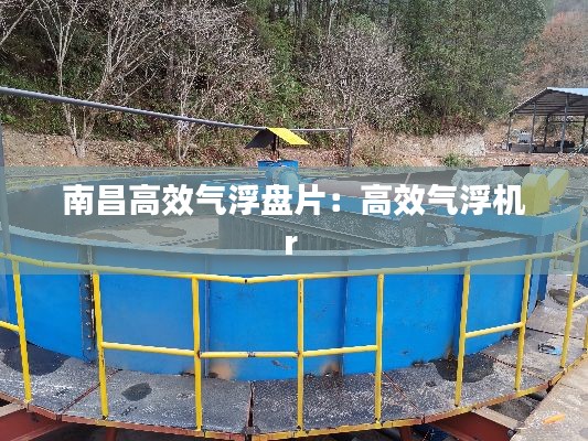 南昌高效气浮盘片：高效气浮机r 