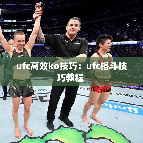 ufc高效ko技巧：ufc格斗技巧教程 