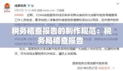 税务稽查报告的制作规范：税务局稽查报告 